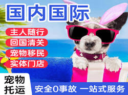 白云空运国际宠物托运 【国